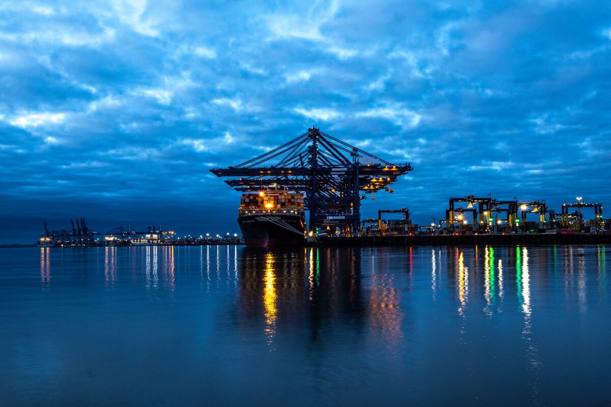 All Lit Up - Katharine Showell